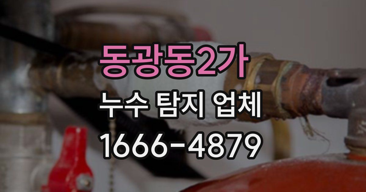 동광동2가 누수 탐지 업체