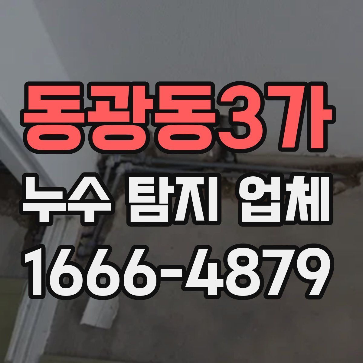 동광동3가 누수 탐지 업체