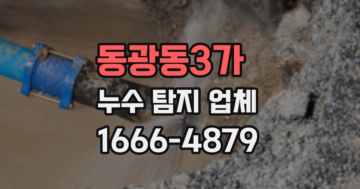 동광동3가 누수 탐지 업체