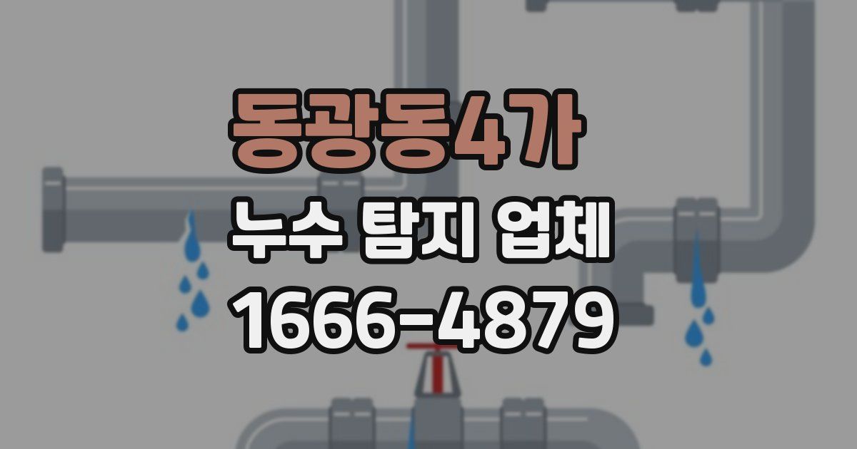 동광동4가 누수 탐지 업체