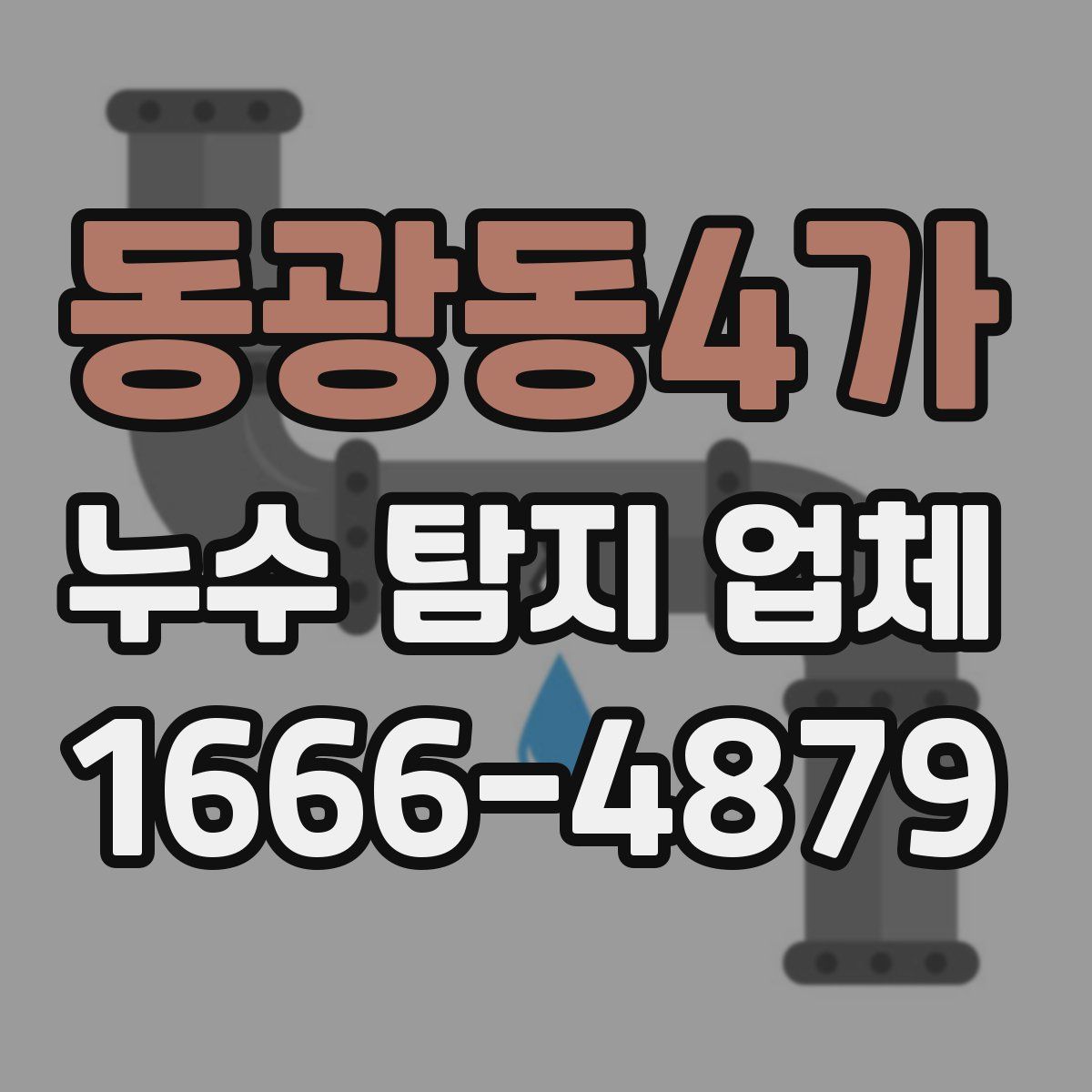 동광동4가 누수 탐지 업체