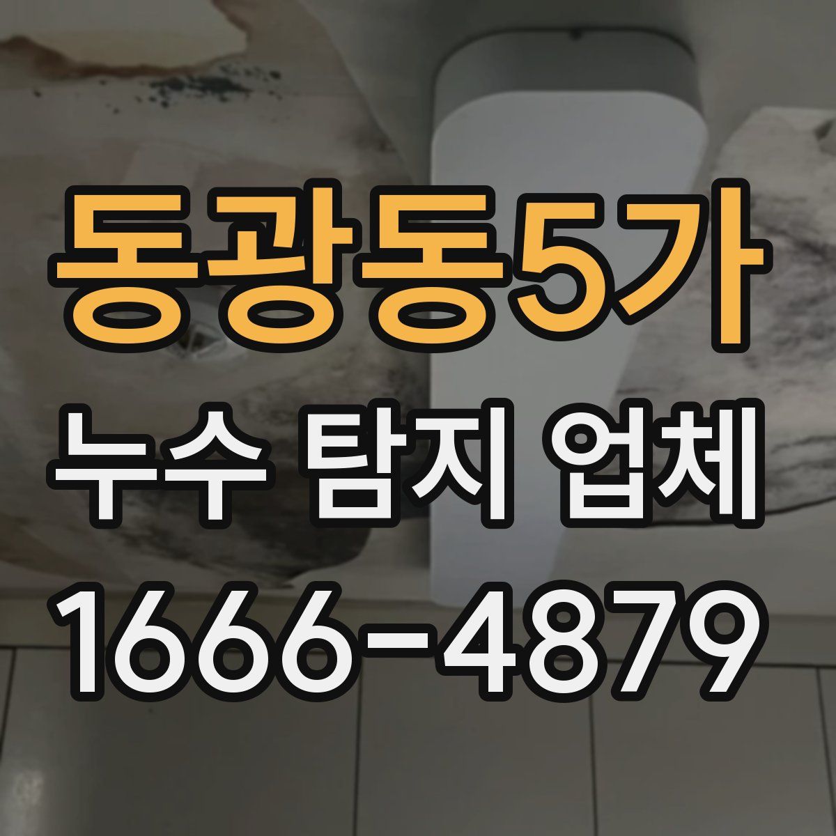 동광동5가 누수 탐지 업체