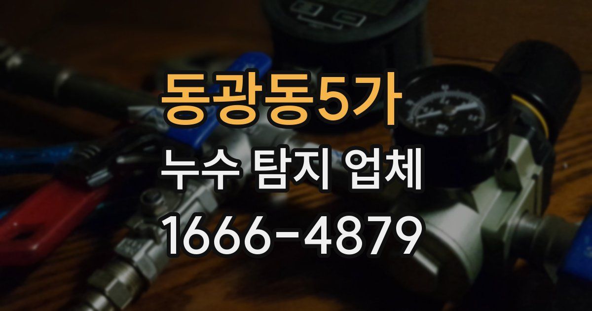 동광동5가 누수 탐지 업체
