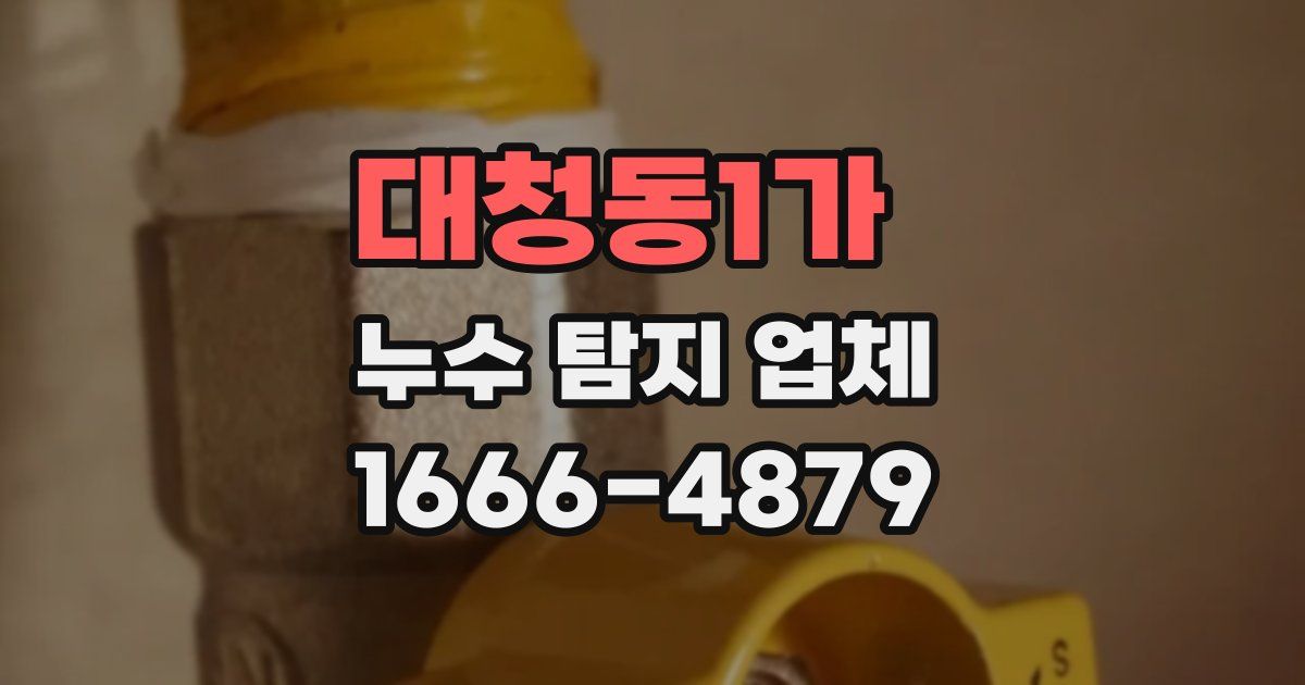 대청동1가 누수 탐지 업체