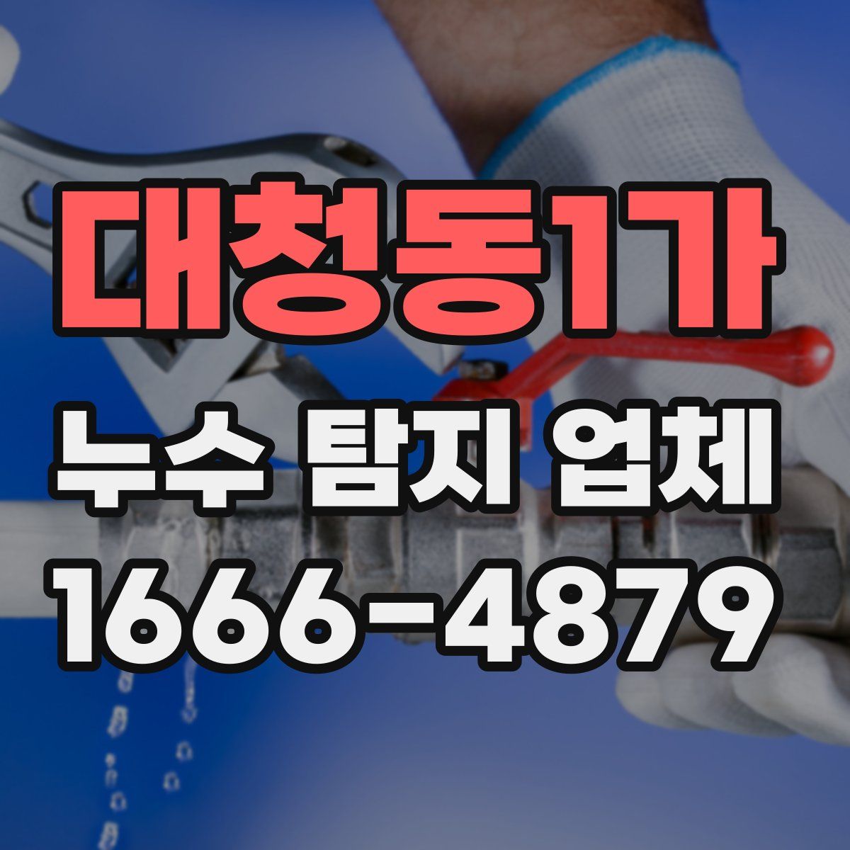 대청동1가 누수 탐지 업체