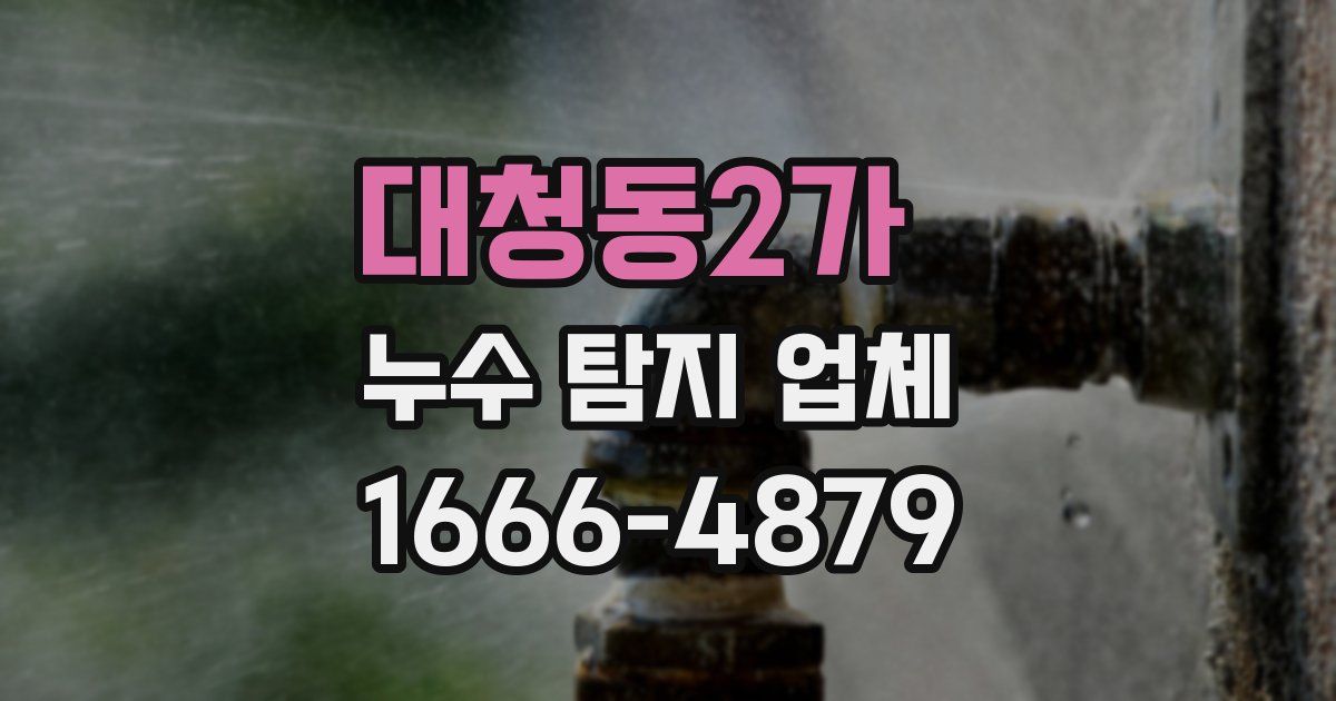 대청동2가 누수 탐지 업체