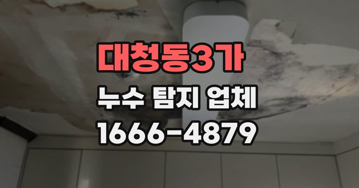 대청동3가 누수 탐지 업체