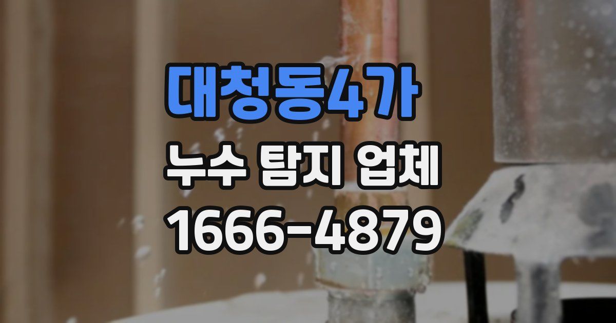 대청동4가 누수 탐지 업체