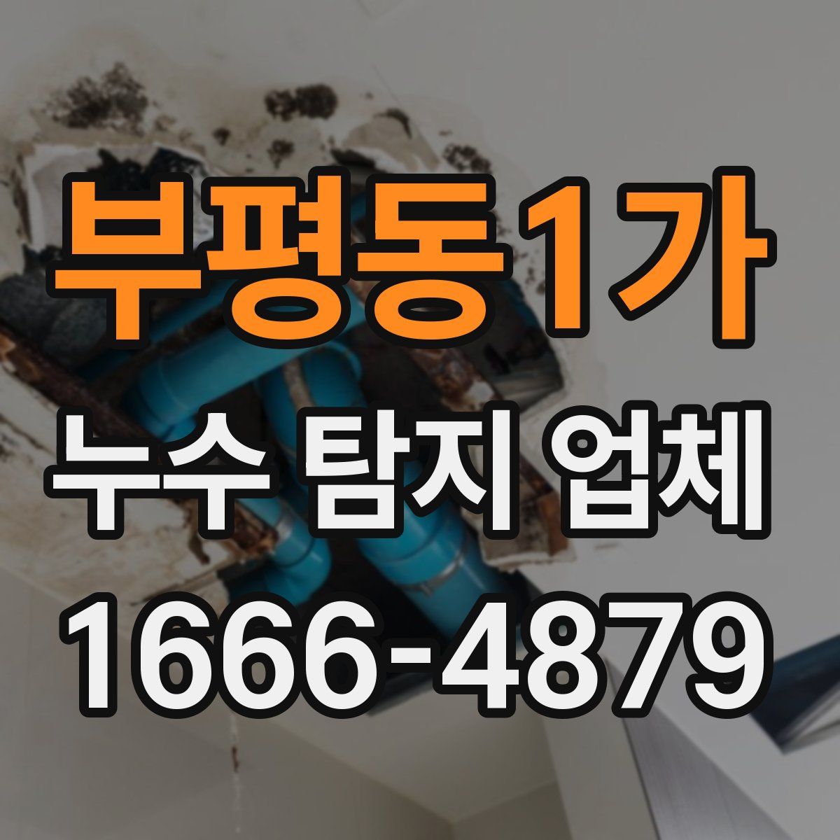 부평동1가 누수 탐지 업체