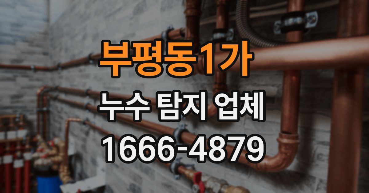 부평동1가 누수 탐지 업체