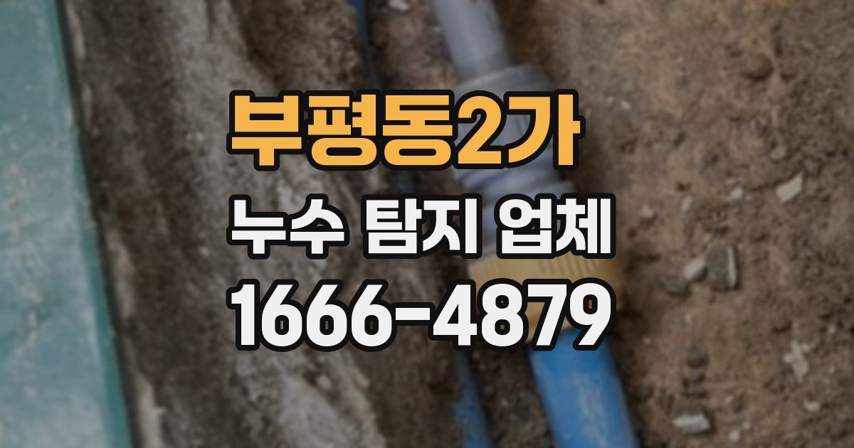 부평동2가 누수 탐지 업체