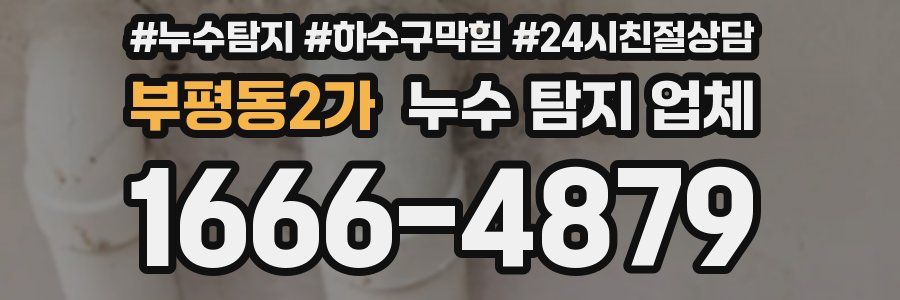 부평동2가 누수 탐지 업체