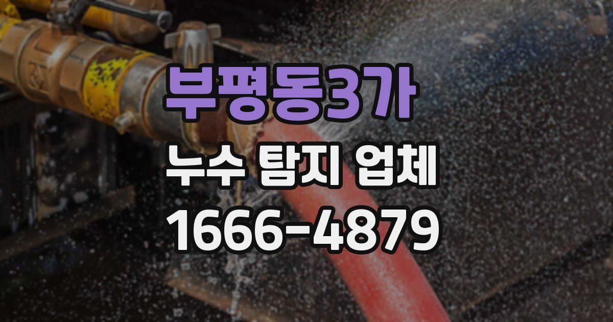 부평동3가 누수 탐지 업체