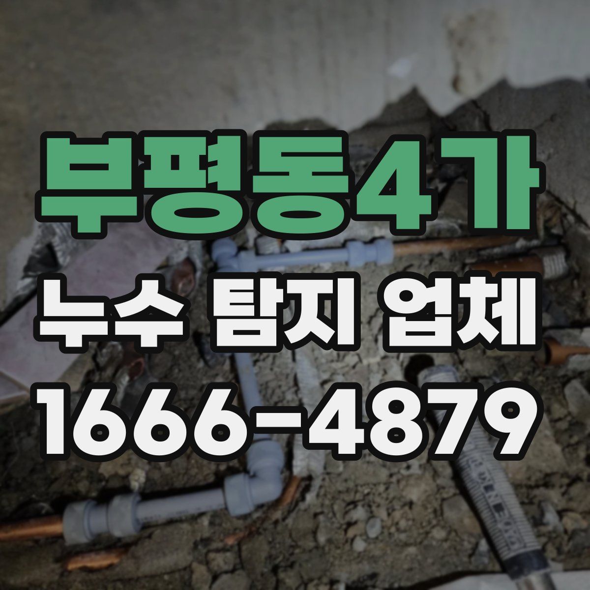 부평동4가 누수 탐지 업체