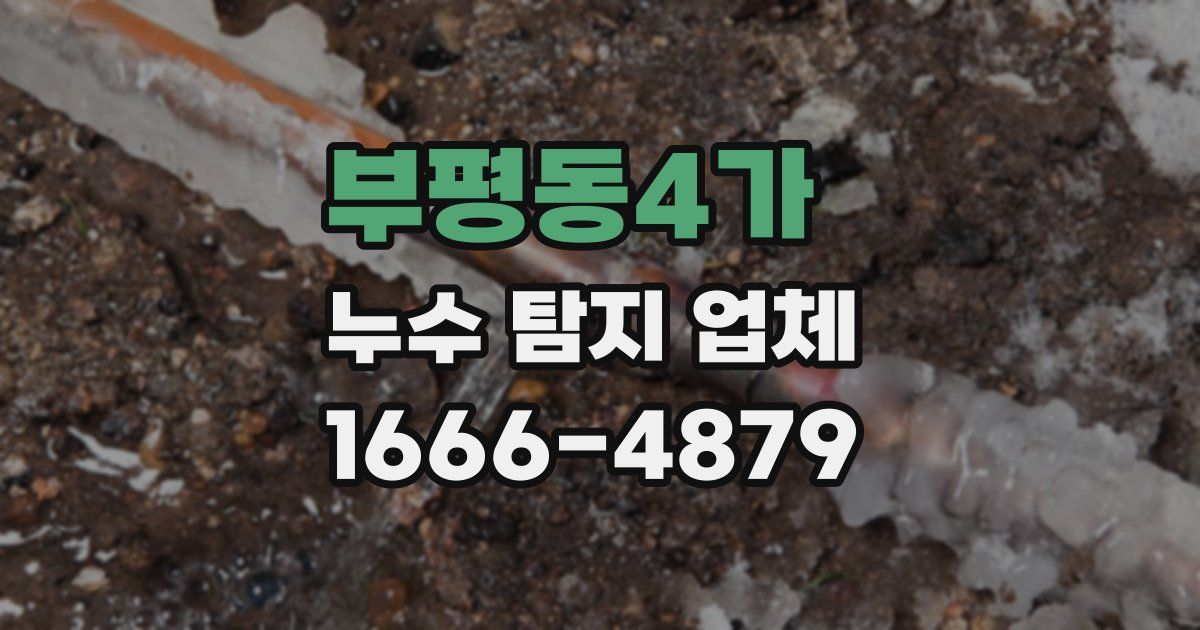 부평동4가 누수 탐지 업체