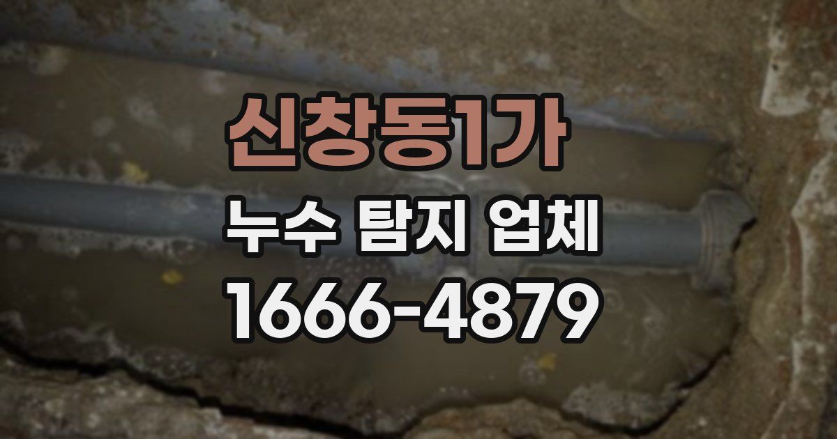신창동1가 누수 탐지 업체