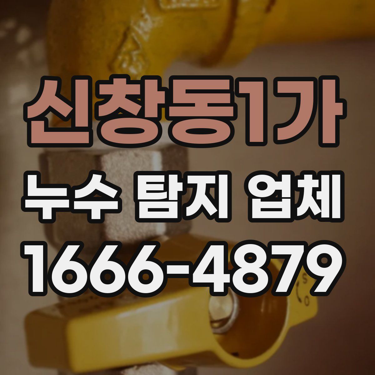 신창동1가 누수 탐지 업체