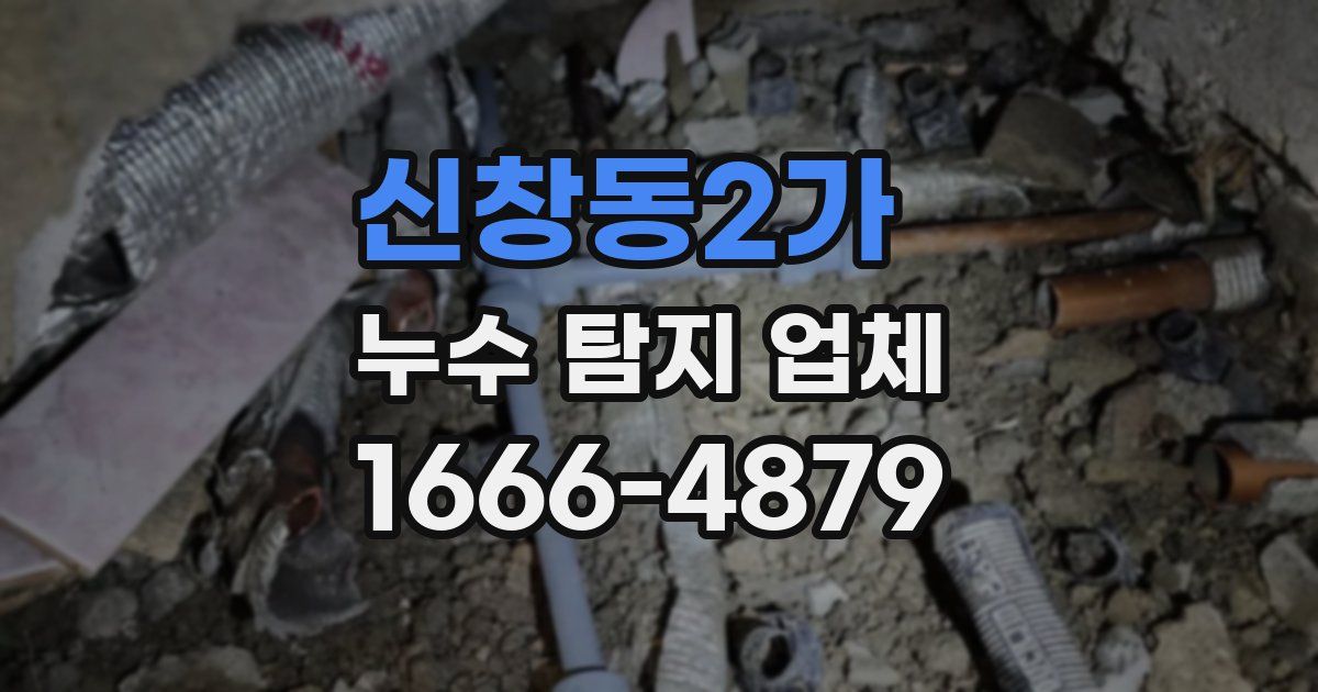 신창동2가 누수 탐지 업체