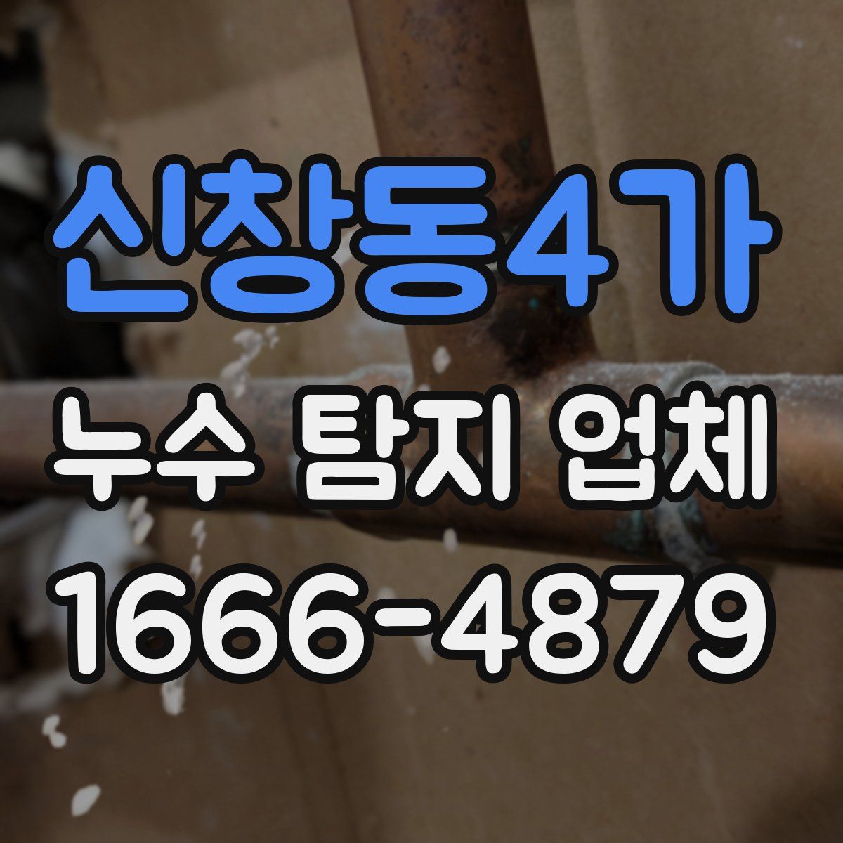 신창동4가 누수 탐지 업체