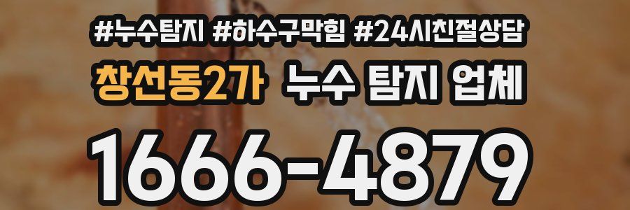 창선동2가 누수 탐지 업체