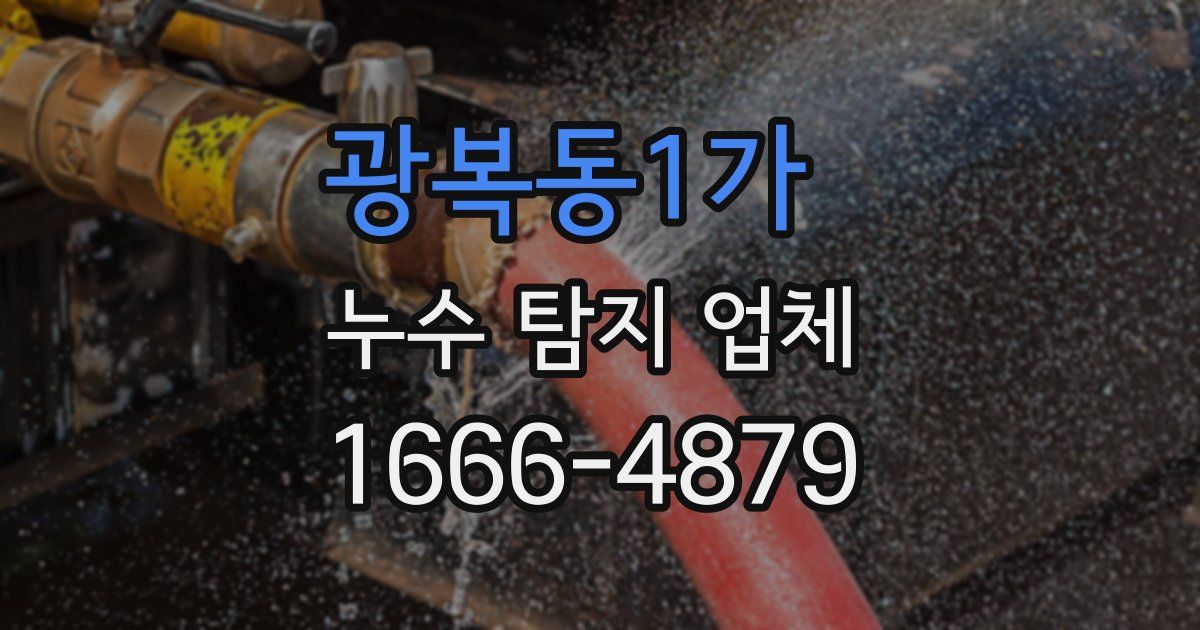 광복동1가 누수 탐지 업체
