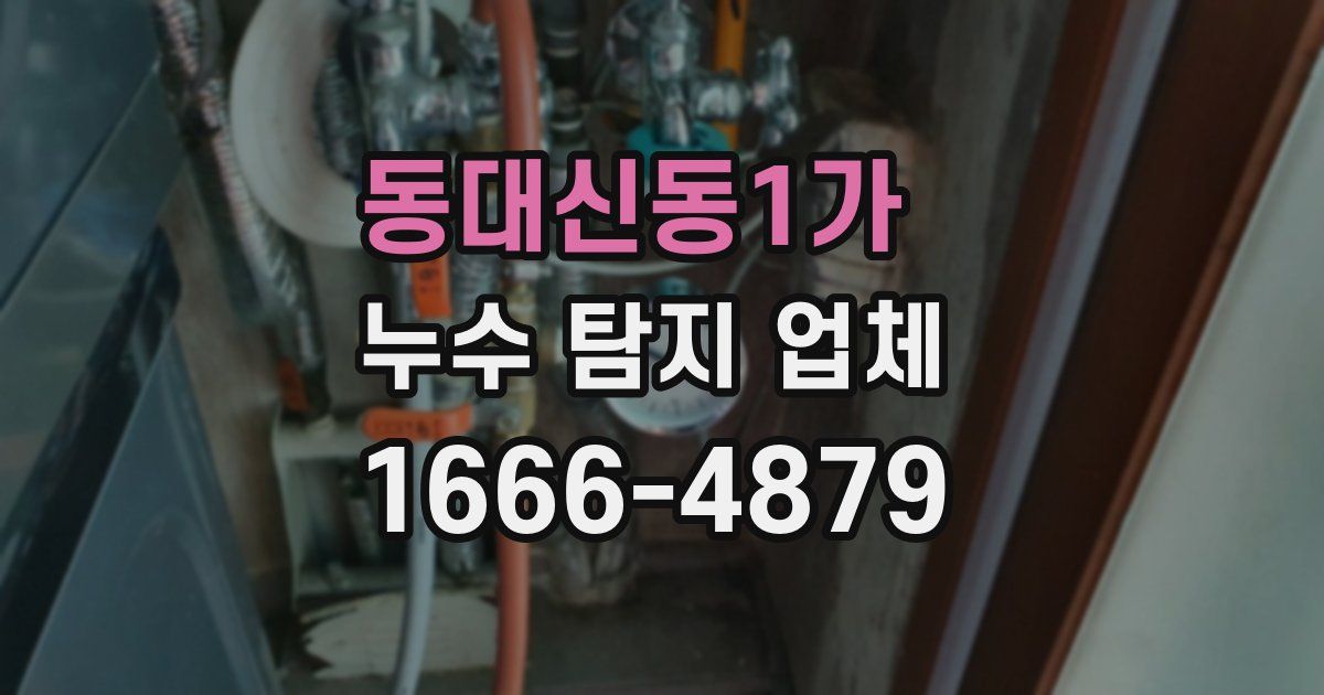 동대신동1가 누수 탐지 업체