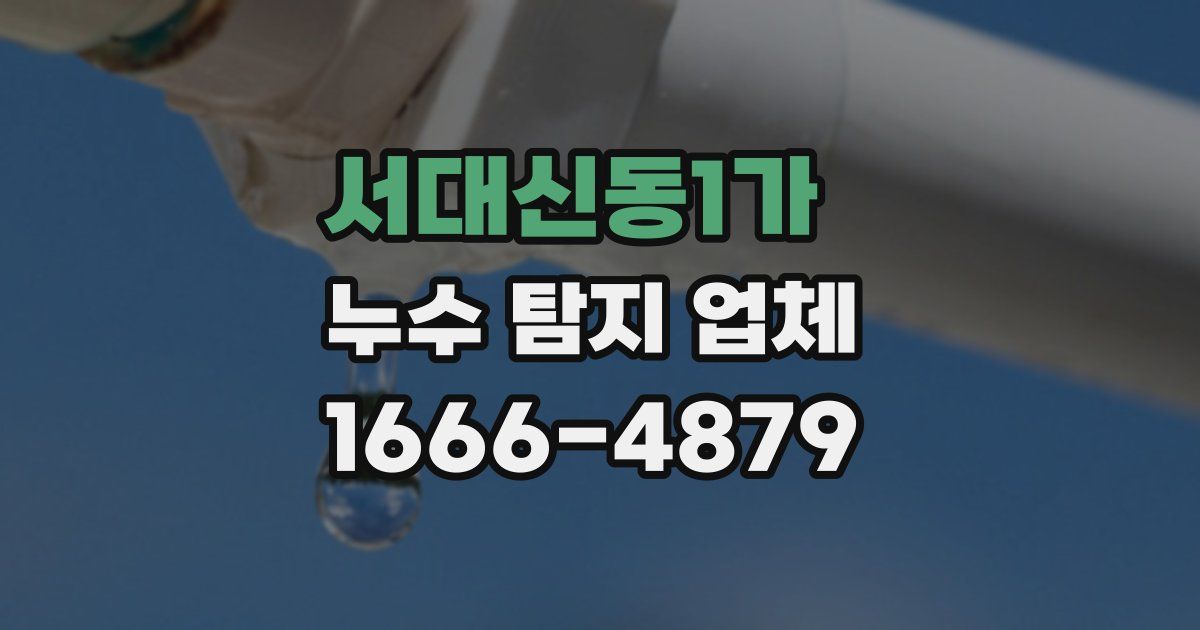서대신동1가 누수 탐지 업체