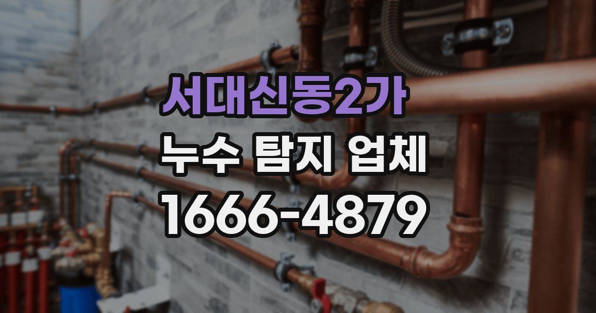 서대신동2가 누수 탐지 업체