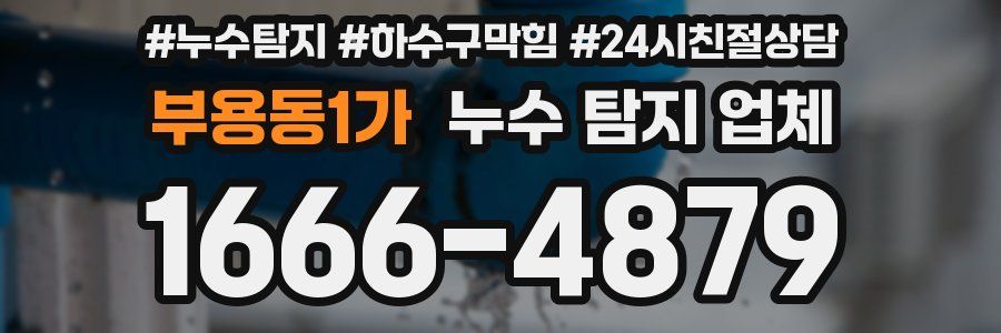 부용동1가 누수 탐지 업체