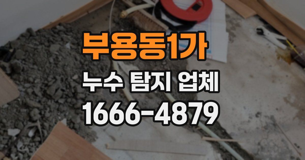 부용동1가 누수 탐지 업체