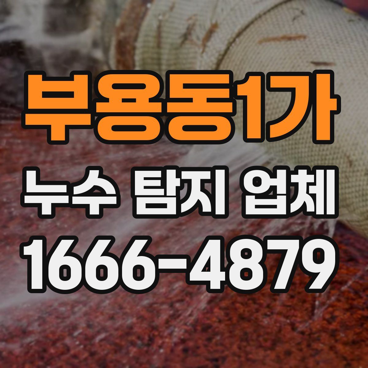 부용동1가 누수 탐지 업체