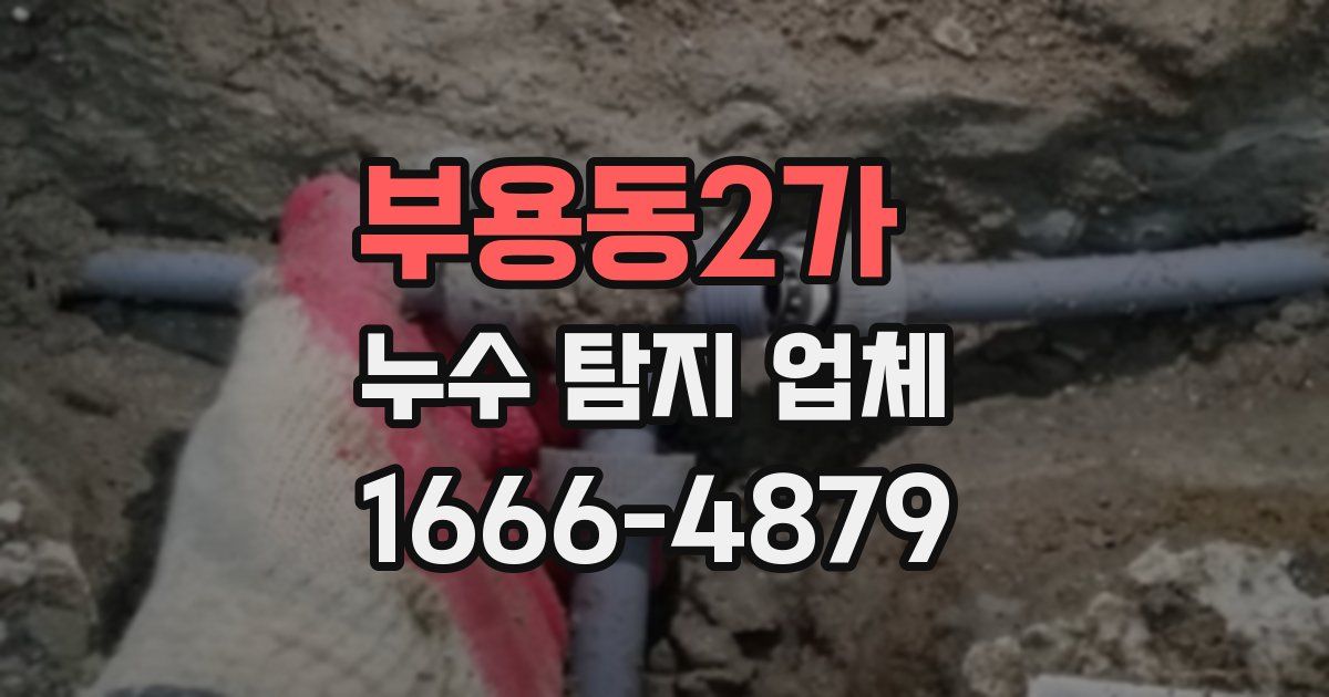 부용동2가 누수 탐지 업체