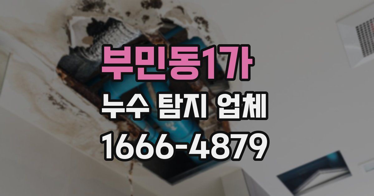 부민동1가 누수 탐지 업체