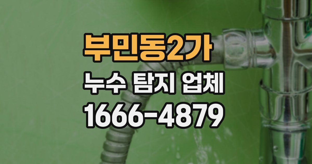 부민동2가 누수 탐지 업체