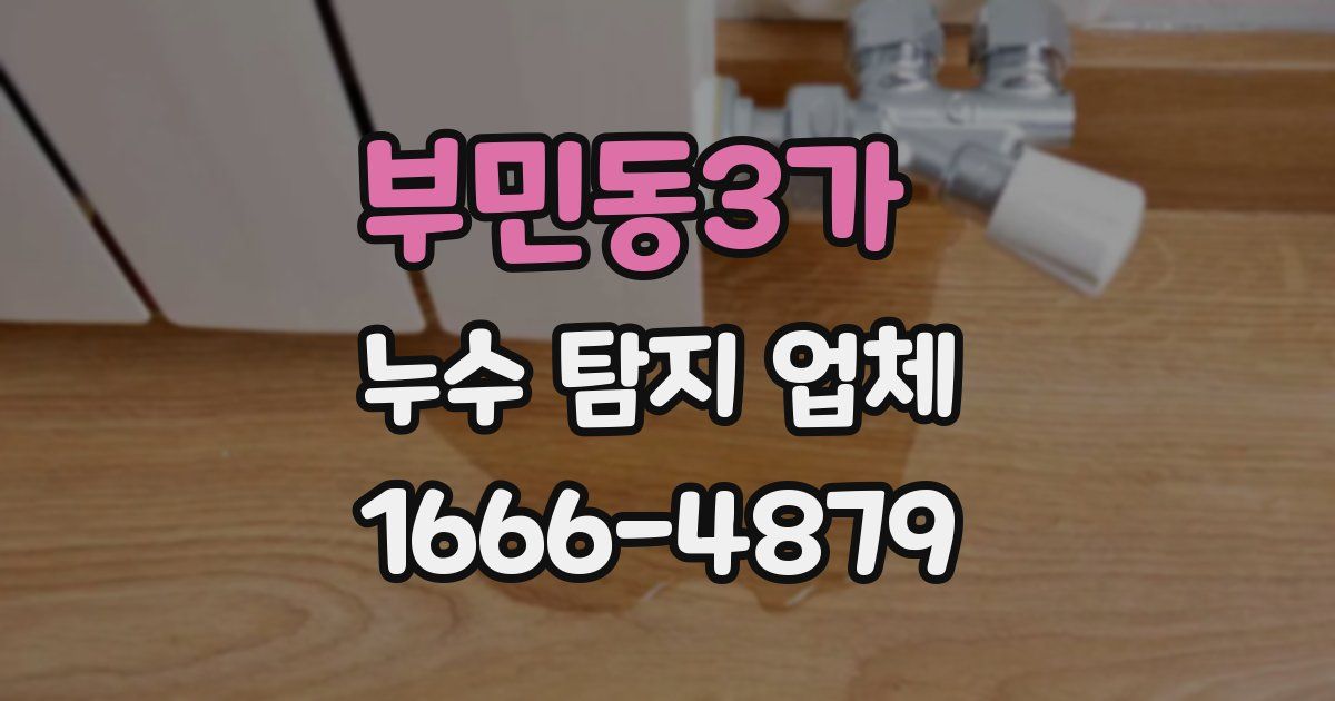 부민동3가 누수 탐지 업체