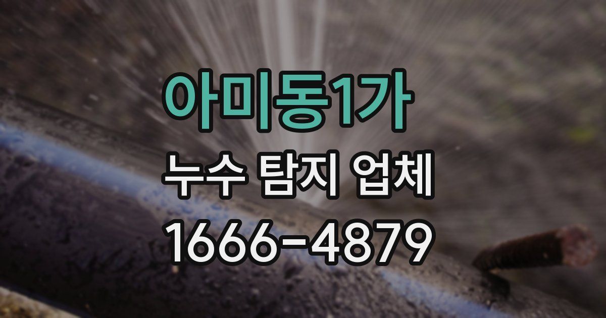 아미동1가 누수 탐지 업체