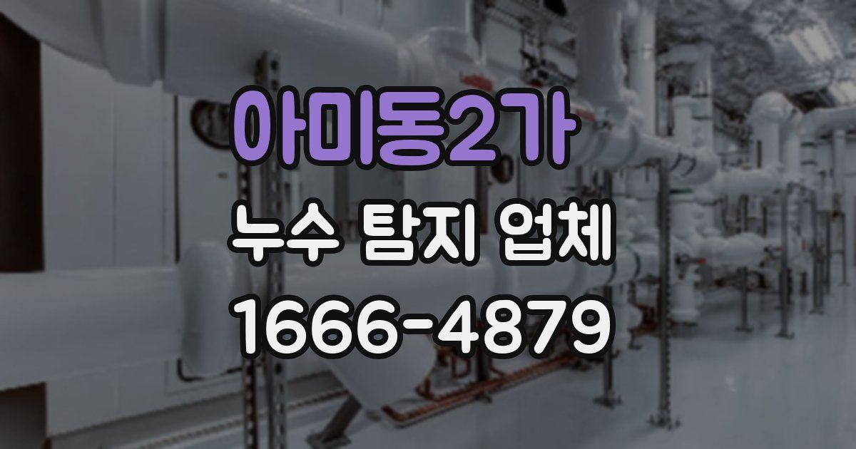 아미동2가 누수 탐지 업체
