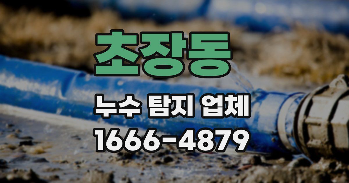 초장동 누수 탐지 업체
