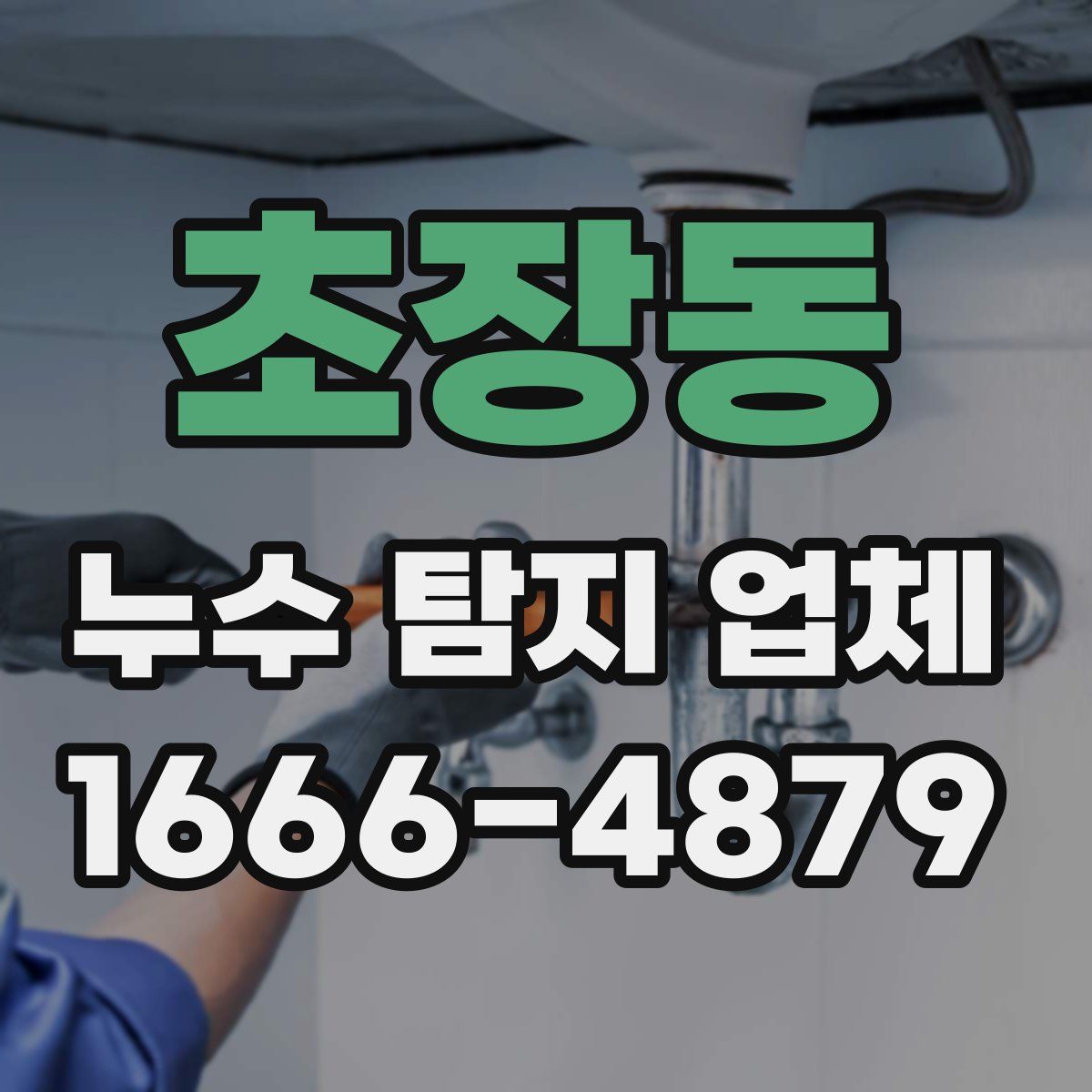 초장동 누수 탐지 업체