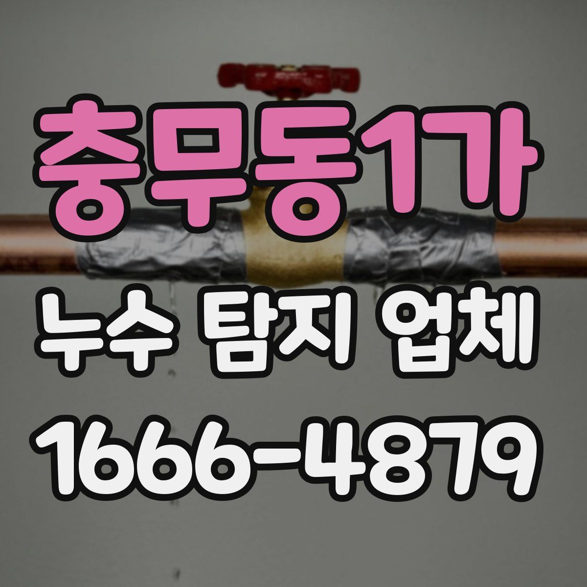 충무동1가 누수 탐지 업체