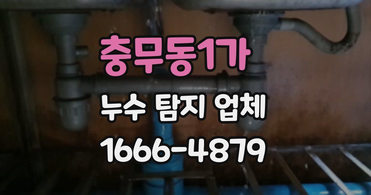 충무동1가 누수 탐지 업체