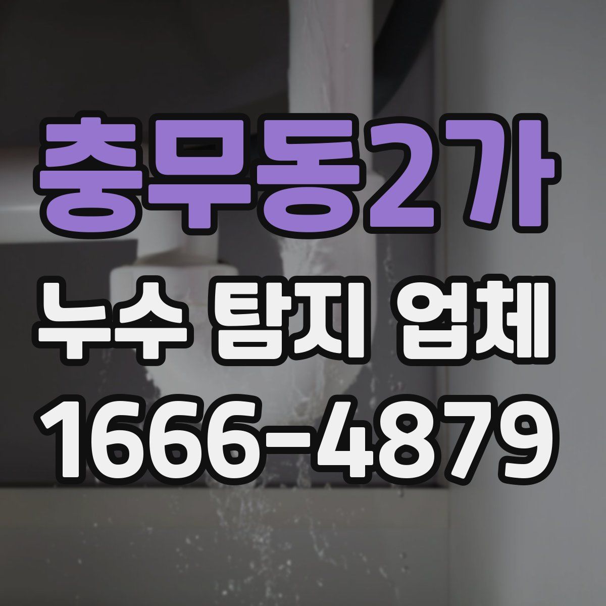 충무동2가 누수 탐지 업체