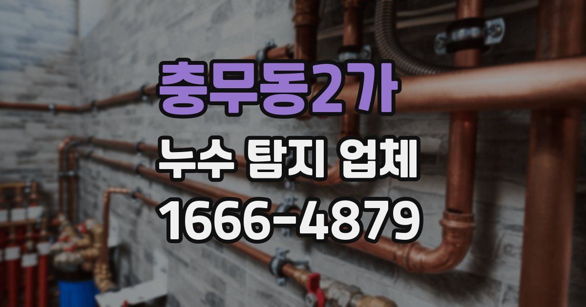 충무동2가 누수 탐지 업체