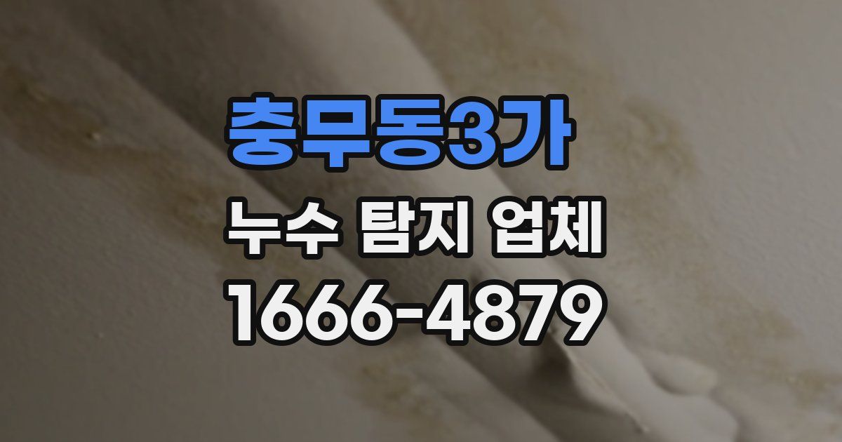 충무동3가 누수 탐지 업체