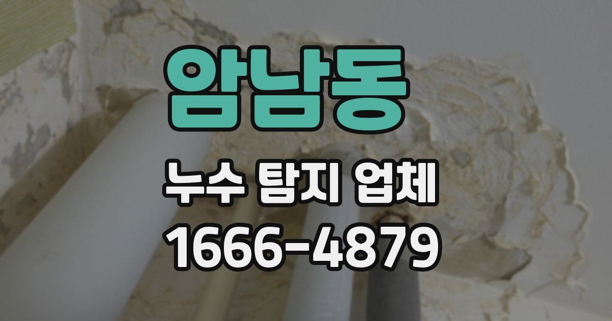 암남동 누수 탐지 업체