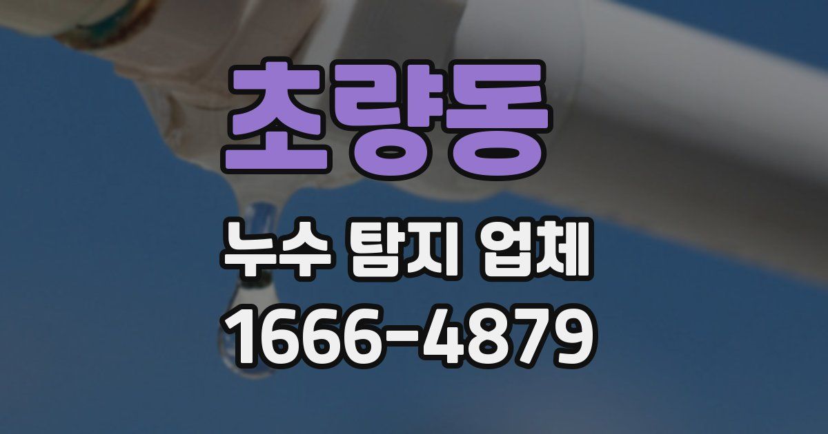 초량동 누수 탐지 업체