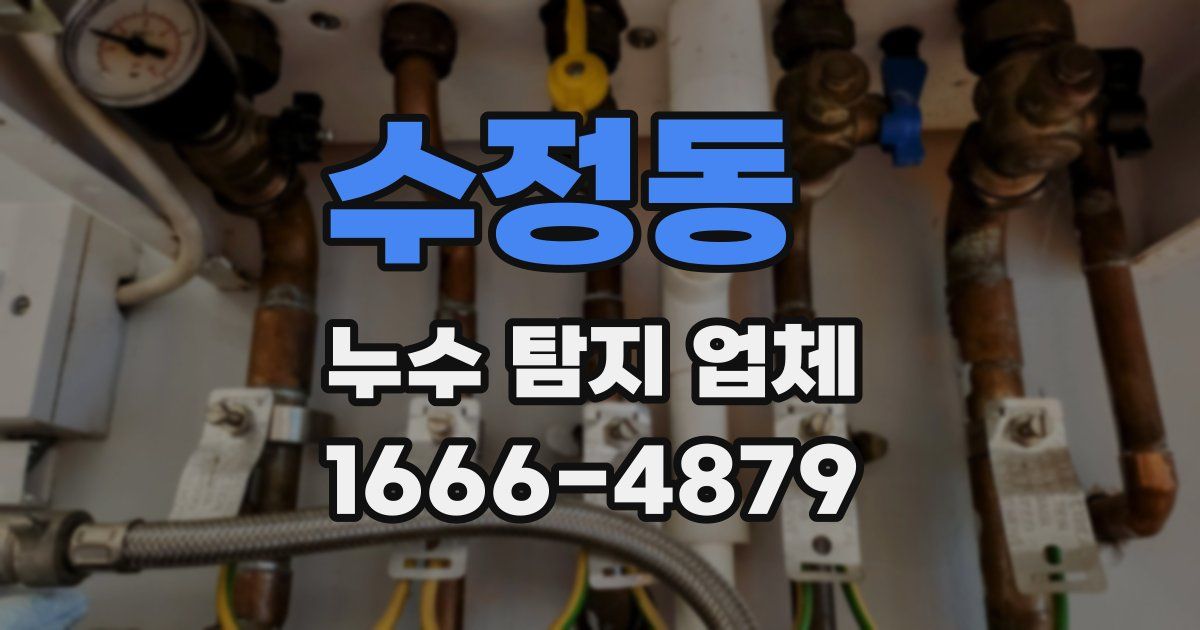 수정동 누수 탐지 업체