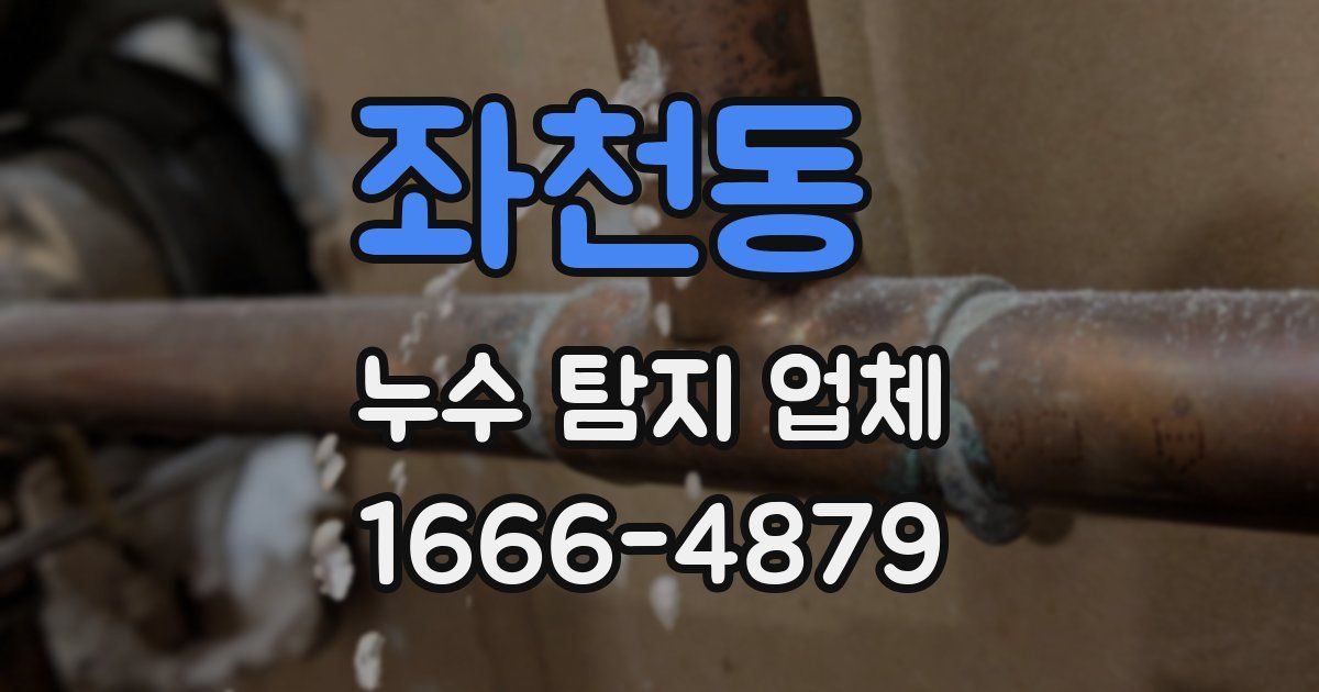 좌천동 누수 탐지 업체