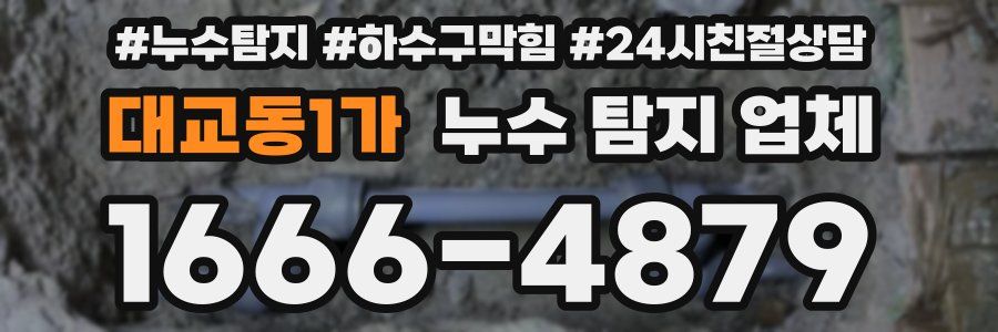 대교동1가 누수 탐지 업체