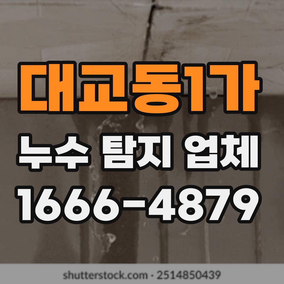 대교동1가 누수 탐지 업체